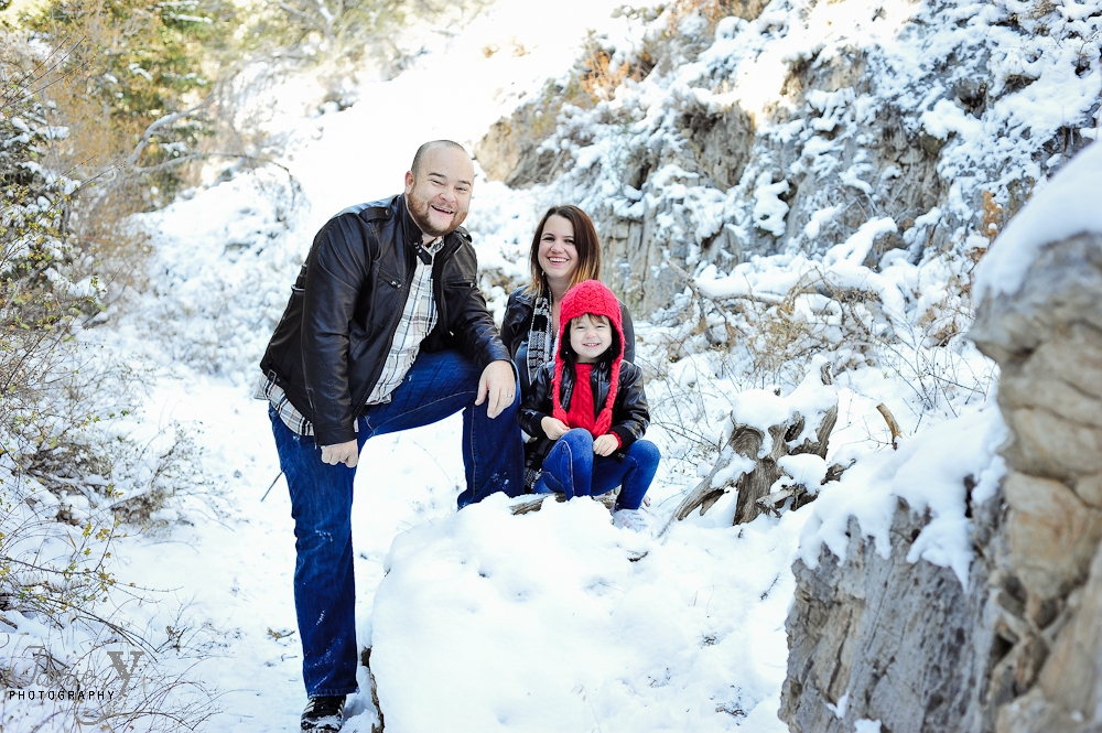 MINI-268* Merry Christmas & Happy Holidays|From My Family To Yours