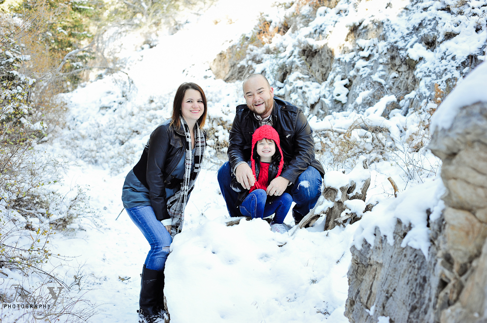 MINI-269* Merry Christmas & Happy Holidays|From My Family To Yours