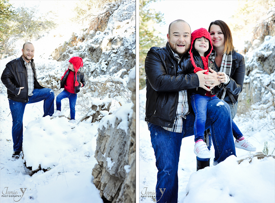 MINI-270* Merry Christmas & Happy Holidays|From My Family To Yours
