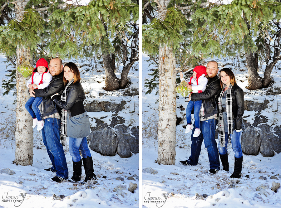 MINI-427* Merry Christmas & Happy Holidays|From My Family To Yours