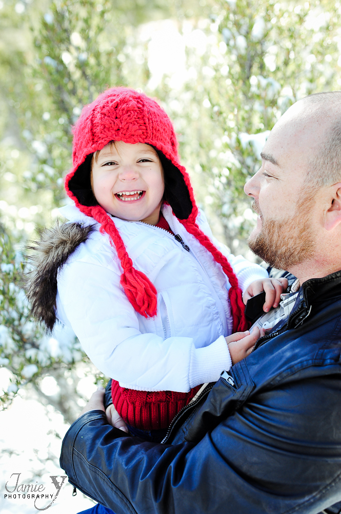MINI-473* Merry Christmas & Happy Holidays|From My Family To Yours
