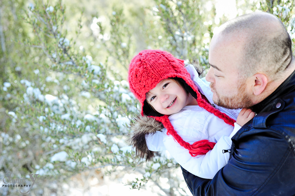 MINI-480 Merry Christmas & Happy Holidays|From My Family To Yours