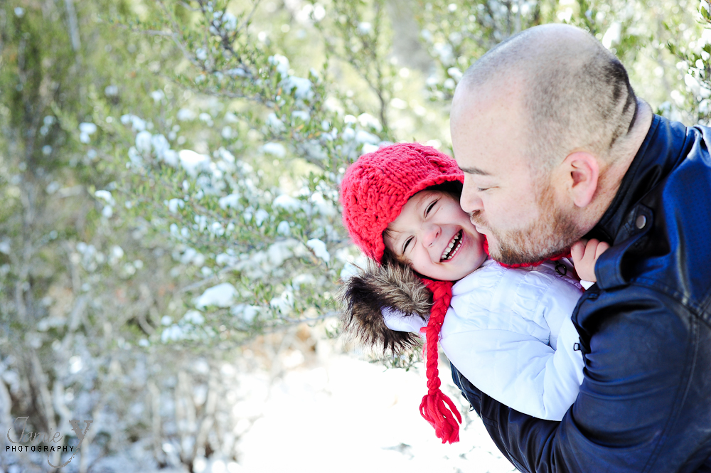 MINI-484 Merry Christmas & Happy Holidays|From My Family To Yours