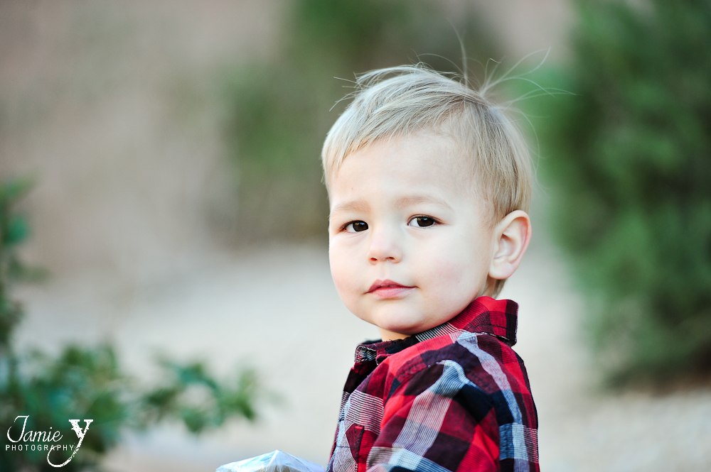 child-photo-3* Backyard Kids Session|Nico|Christmas Card Photos|Las Vegas Photographer