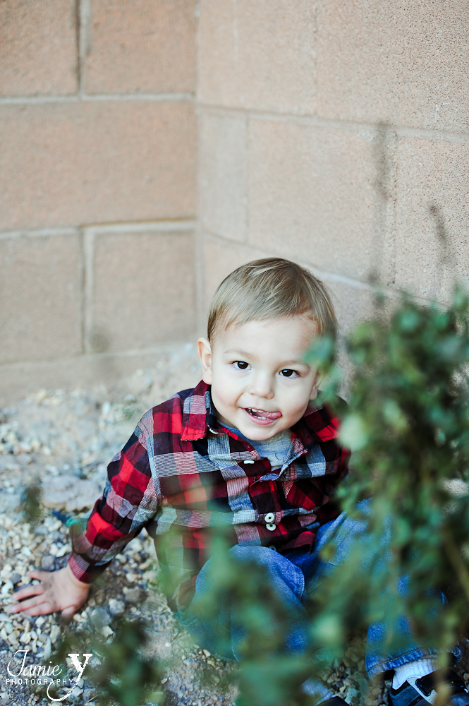 child-photo-7* Backyard Kids Session|Nico|Christmas Card Photos|Las Vegas Photographer